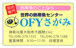 有限会社　さがみ水産